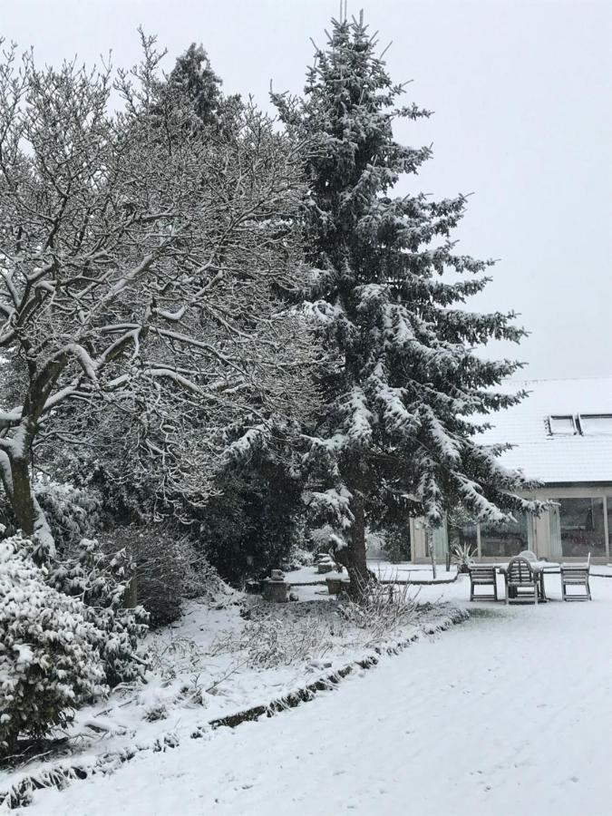 Aquavilla Bed & Breakfast Willebroek Zewnętrze zdjęcie