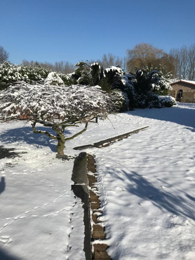 Aquavilla Bed & Breakfast Willebroek Zewnętrze zdjęcie